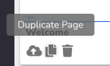 Page Editor_ Duplicate Page.png